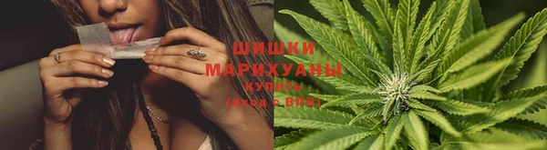 трава Алзамай
