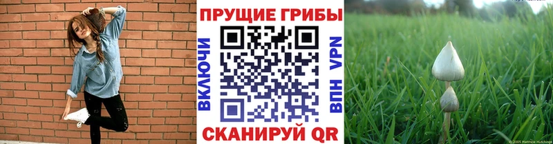 Псилоцибиновые грибы Magic Shrooms  закладка  ОМГ ОМГ сайт  Калач-на-Дону 