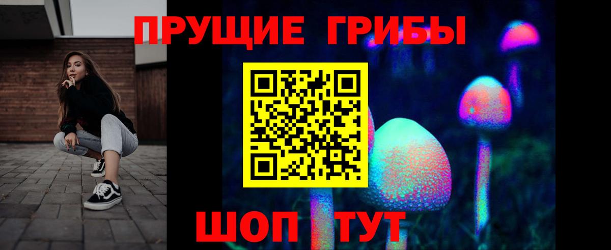 Псилоцибиновые грибы Cubensis  Вход с VPN  Калач-на-Дону 