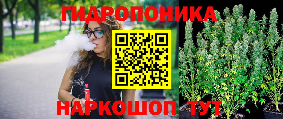 Бошки марихуана марихуана Калач-на-Дону